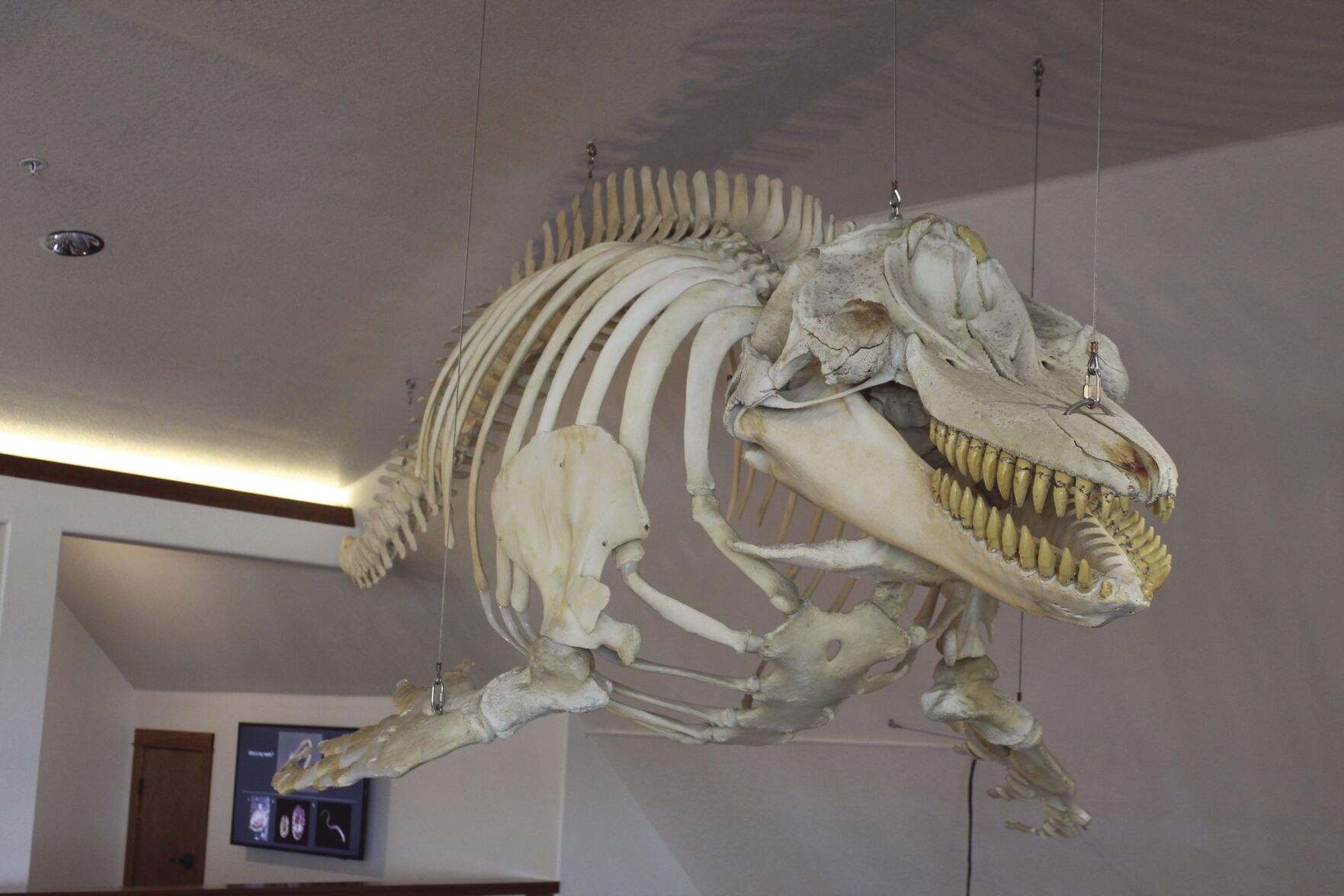 Marine Ctr 3.jpg